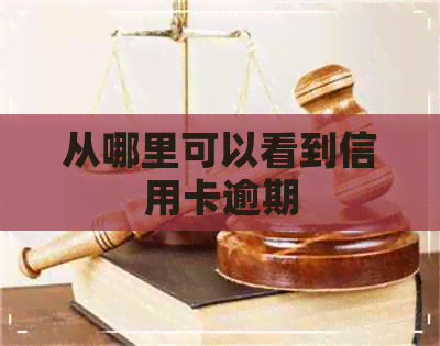 从哪里可以看到信用卡逾期