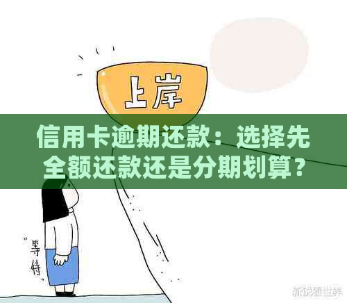 信用卡逾期还款：选择先全额还款还是分期划算？