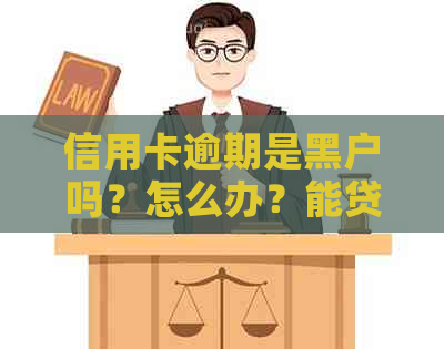 信用卡逾期是黑户吗？怎么办？能贷款吗？还是白户？