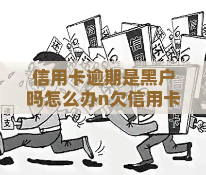 信用卡逾期是黑户吗怎么办n欠信用卡会成黑户吗，信用卡逾期怎么办