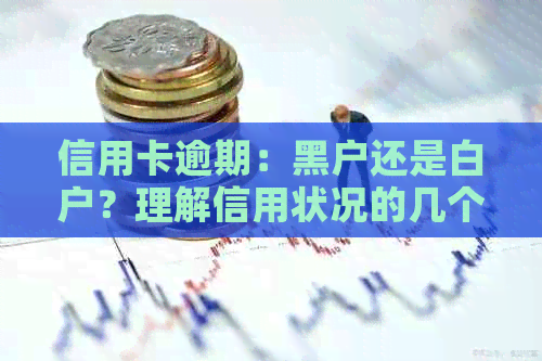 信用卡逾期：黑户还是白户？理解信用状况的几个关键因素