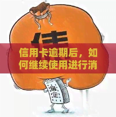 信用卡逾期后，如何继续使用进行消费？