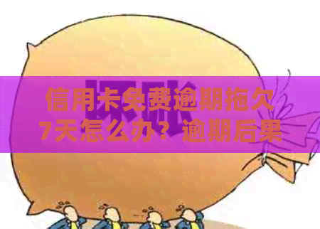 信用卡免费逾期拖欠7天怎么办？逾期后果与处理方法