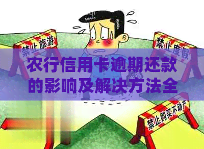农行信用卡逾期还款的影响及解决方法全面解析
