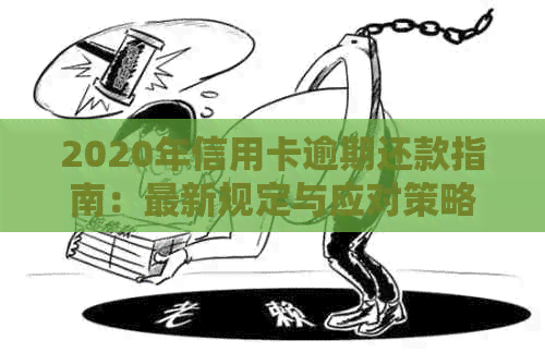 2020年信用卡逾期还款指南：最新规定与应对策略-2020年关于信用卡逾期最新标准