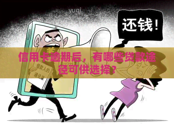 信用卡逾期后，有哪些贷款途径可供选择？