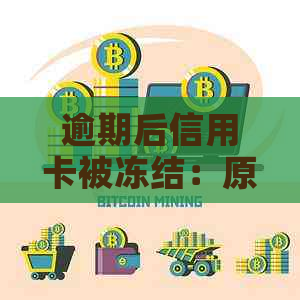 逾期后信用卡被冻结：原因、解冻以及预防措