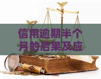 信用逾期半个月的后果及应对方法：全面解析与建议