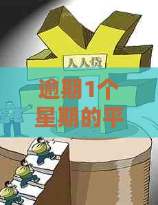 逾期1个星期的平安信用卡应该如何处理？解决用户常见问题