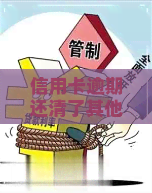 信用卡逾期还清了其他贷款