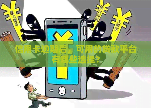 信用卡逾期后，可用的贷款平台有哪些选择？