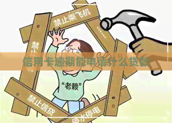 信用卡逾期能申请什么贷款