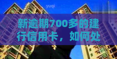 新逾期700多的建行信用卡，如何处理才能避免进一步的信用损失？