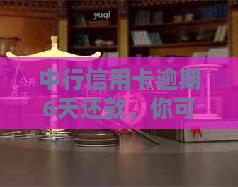 中行信用卡逾期6天还款，你可能需要的解决方案