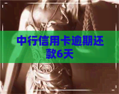 中行信用卡逾期还款6天