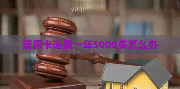 信用卡逾期一年5000多怎么办