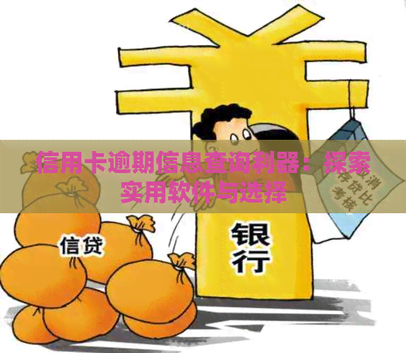 信用卡逾期信息查询利器：探索实用软件与选择