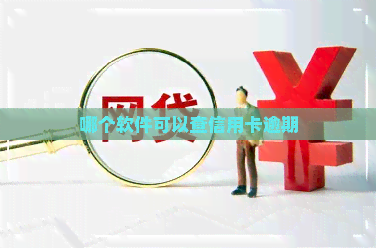 哪个软件可以查信用卡逾期