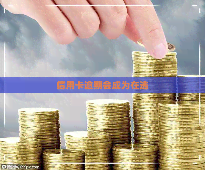 信用卡逾期会成为在逃