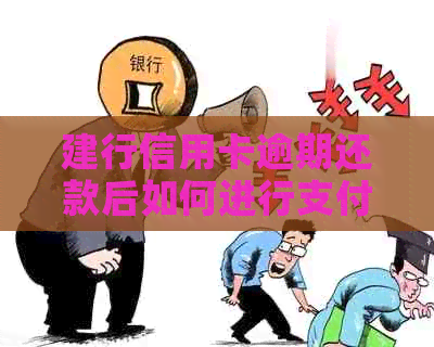 建行信用卡逾期还款后如何进行支付？了解完整流程及注意事项