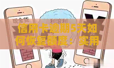信用卡逾期5天如何恢复额度：实用指南