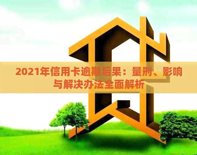2021年信用卡逾期后果：量刑、影响与解决办法全面解析