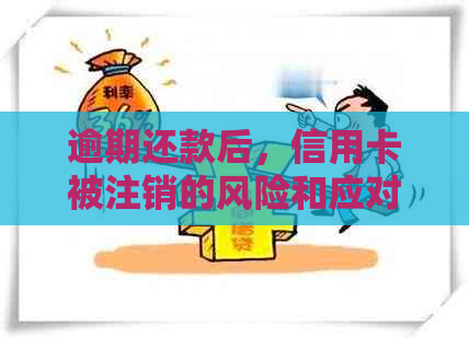 逾期还款后，信用卡被注销的风险和应对策略