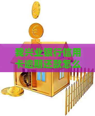 我兴业银行信用卡逾期还款怎么办？如何规划分期还款计划？