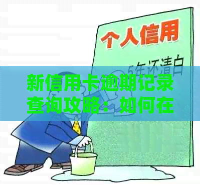 新信用卡逾期记录查询攻略：如何在线追踪官方记录并避免影响信用评分