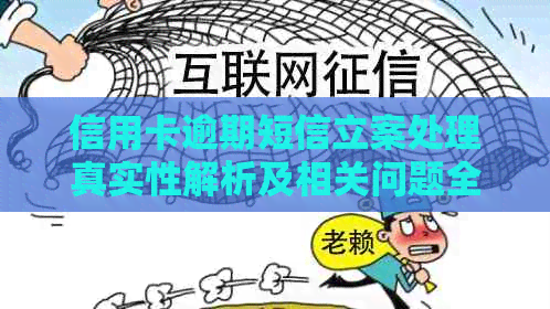 信用卡逾期短信立案处理真实性解析及相关问题全面解答