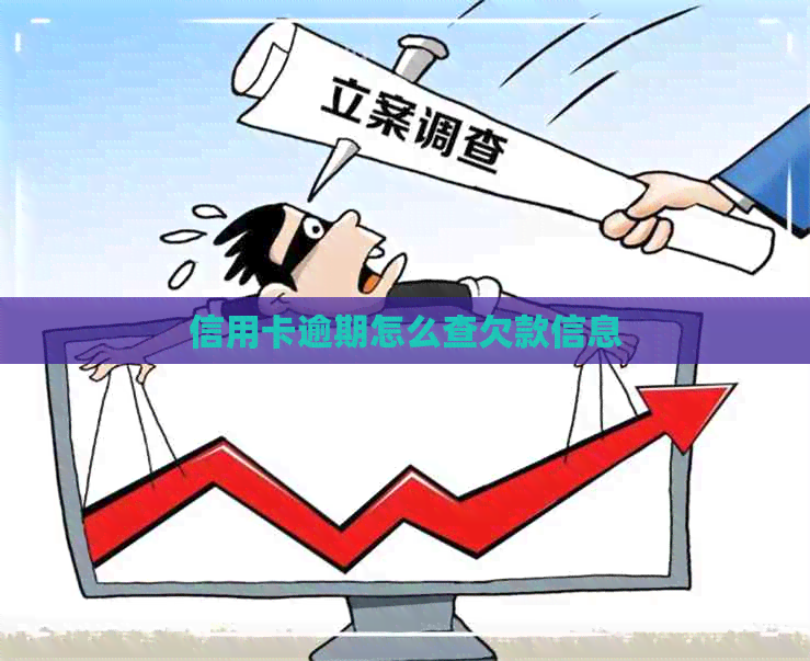 信用卡逾期怎么查欠款信息