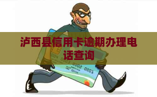 泸西县信用卡逾期办理电话查询