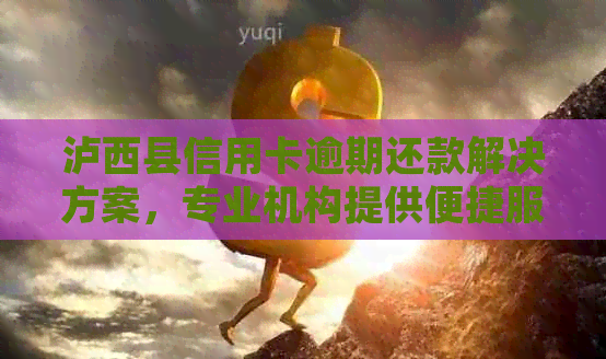 泸西县信用卡逾期还款解决方案，专业机构提供便捷服务地址