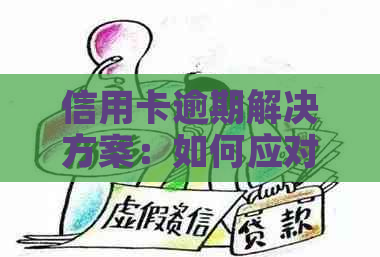 信用卡逾期解决方案：如何应对、恢复信用以及避免未来问题