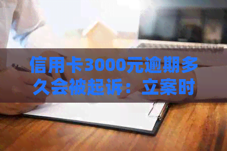 信用卡3000元逾期多久会被起诉：立案时间与可能的诉讼结果
