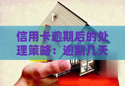 信用卡逾期后的处理策略：逾期几天的影响及解决方法