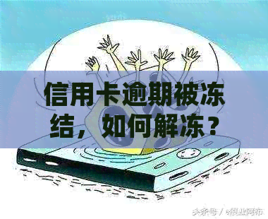 信用卡逾期被冻结，如何解冻？了解详细步骤与注意事项！