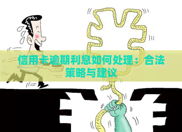 信用卡逾期利息如何处理：合法策略与建议