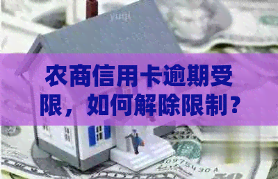 农商信用卡逾期受限，如何解除限制？