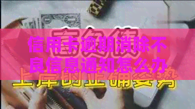 信用卡逾期消除不良信息通知怎么办