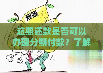 逾期还款是否可以办理分期付款？了解逾期后分期付款的详细指南