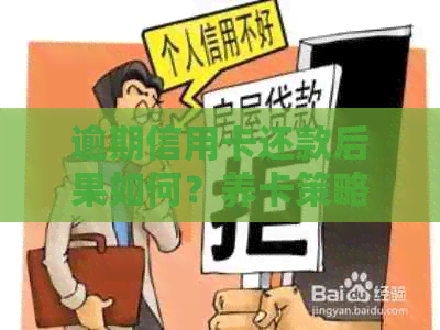 逾期信用卡还款后果如何？养卡策略助你摆脱困境