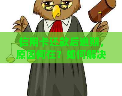 信用卡还款后逾期，原因何在？如何解决？