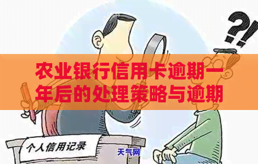 农业银行信用卡逾期一年后的处理策略与逾期利息分析