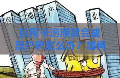 信用卡逾期就会成黑户吗怎么办？如何避免成为黑户？
