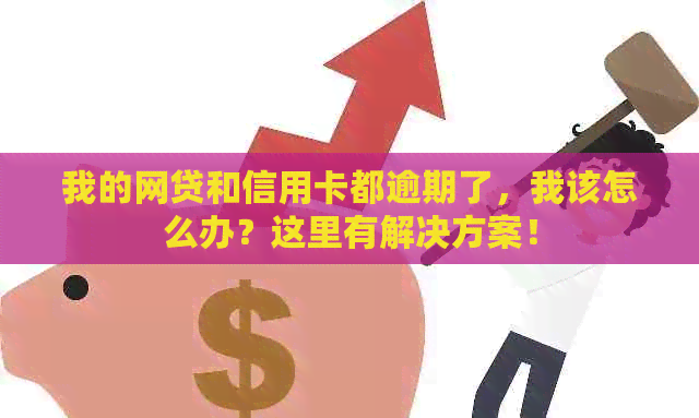 我的网贷和信用卡都逾期了，我该怎么办？这里有解决方案！