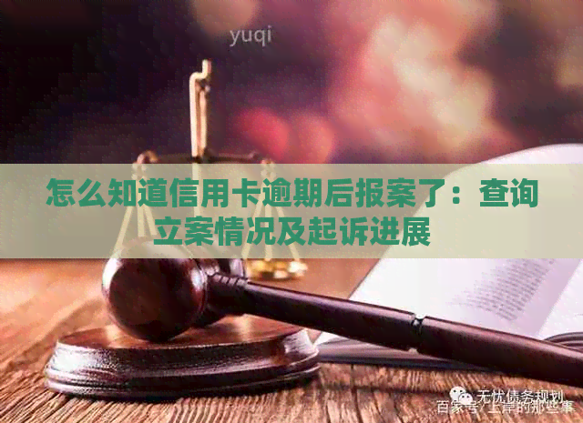 怎么知道信用卡逾期后报案了：查询立案情况及起诉进展