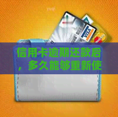 信用卡逾期还款后，多久能够重新使用建行信用卡？了解详细恢复流程和时间表