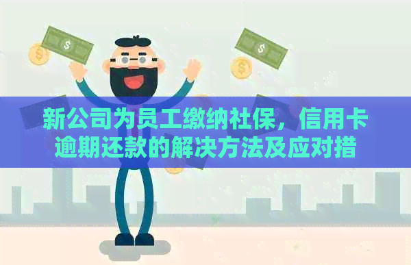 新公司为员工缴纳社保，信用卡逾期还款的解决方法及应对措