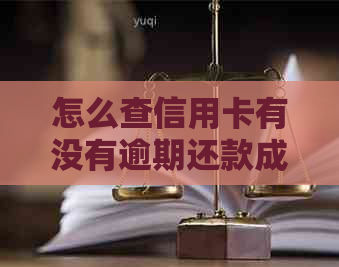 怎么查信用卡有没有逾期还款成功？